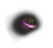 leave